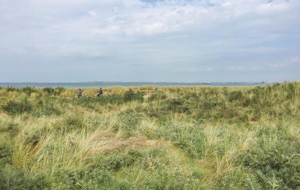 Un paysage côtier avec de hautes herbes et une vue lointaine sur la mer.