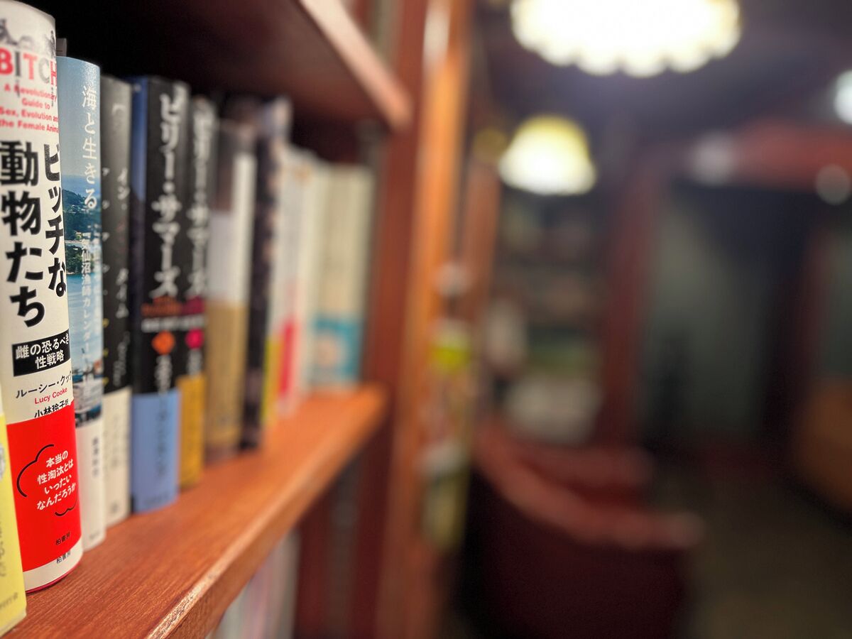 A bookshelf with books, some with Japanese text.