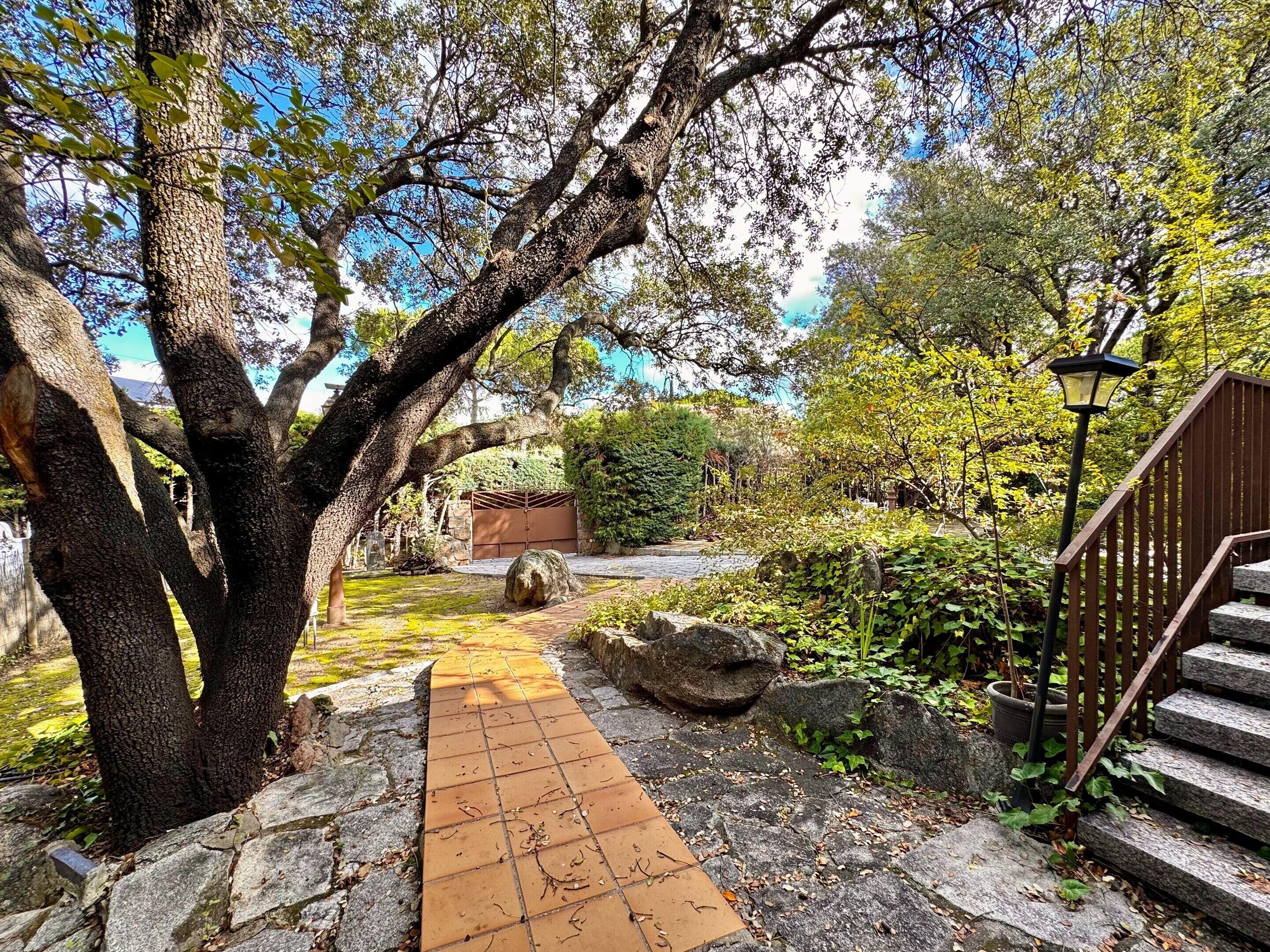 Classic Cottage, 2 Bedrooms | Garden