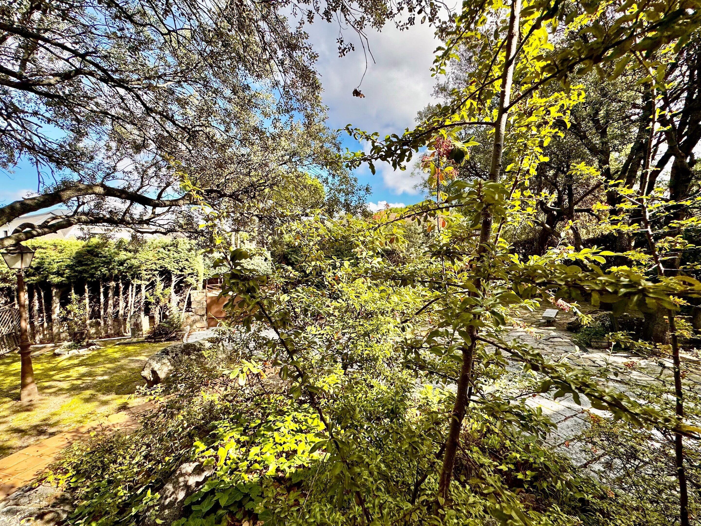 Cottage phong cách cổ điển, 2 phòng ngủ | Quang cảnh nhìn từ nơi lưu trú