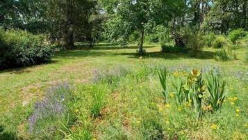 Classic House, 2 Bedrooms | Garden