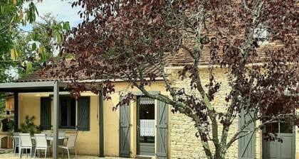 Pleasant Holiday Home in Salviac With Swimming Pool