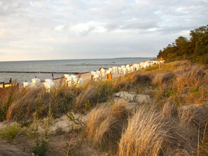 A beach with rows of white tents and a sandy foreground with tall grasses. - Feriendomizile auf der Insel Poel (Insel Poel)