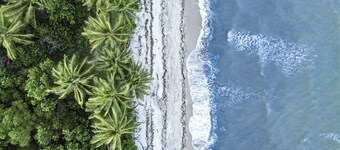 White Cockatoo Beachfront Cottage in Peaceful Newell Beach