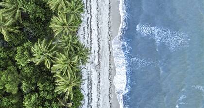 White Cockatoo Beachfront Cottage in Peaceful Newell Beach
