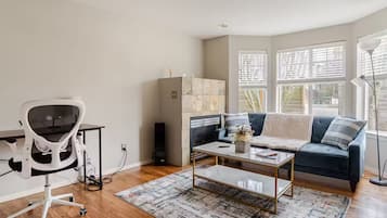 Smart TV, fireplace, books