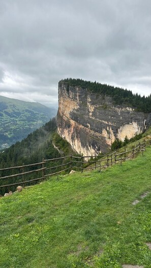 A grassy hillside with a wooden fence and a large cliff. - Kayaüstü Dağ Evi (Duzkoy)