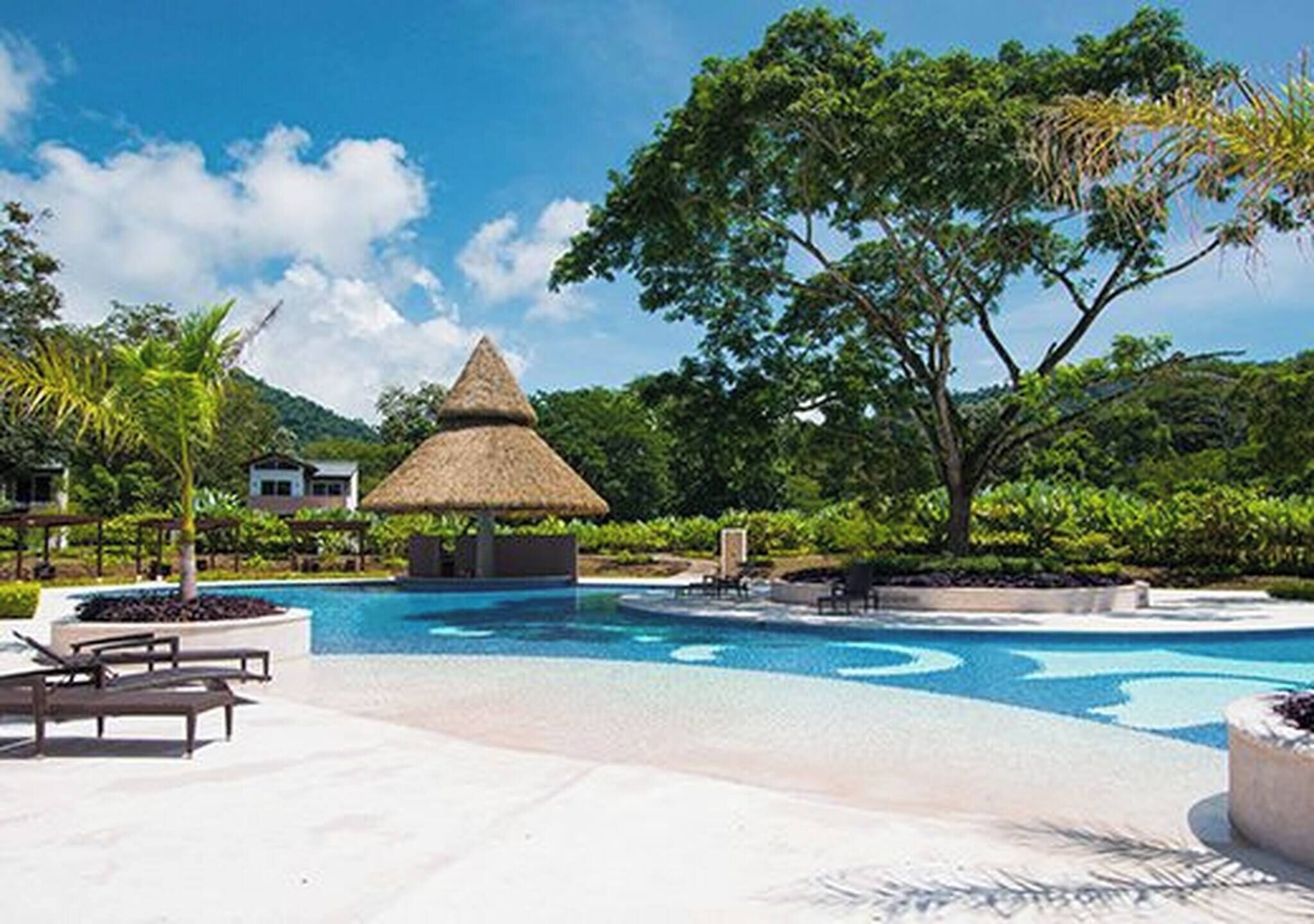 Uma área de piscina em resort com estrutura de palha, espreguiçadeiras e vegetação exuberante.