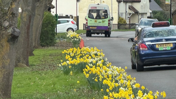 Een landelijke weg met een groene bus, geparkeerde auto's en narcissen op de voorgrond.