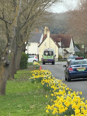 Una strada di campagna con un autobus verde, auto parcheggiate e narcisi in primo piano.