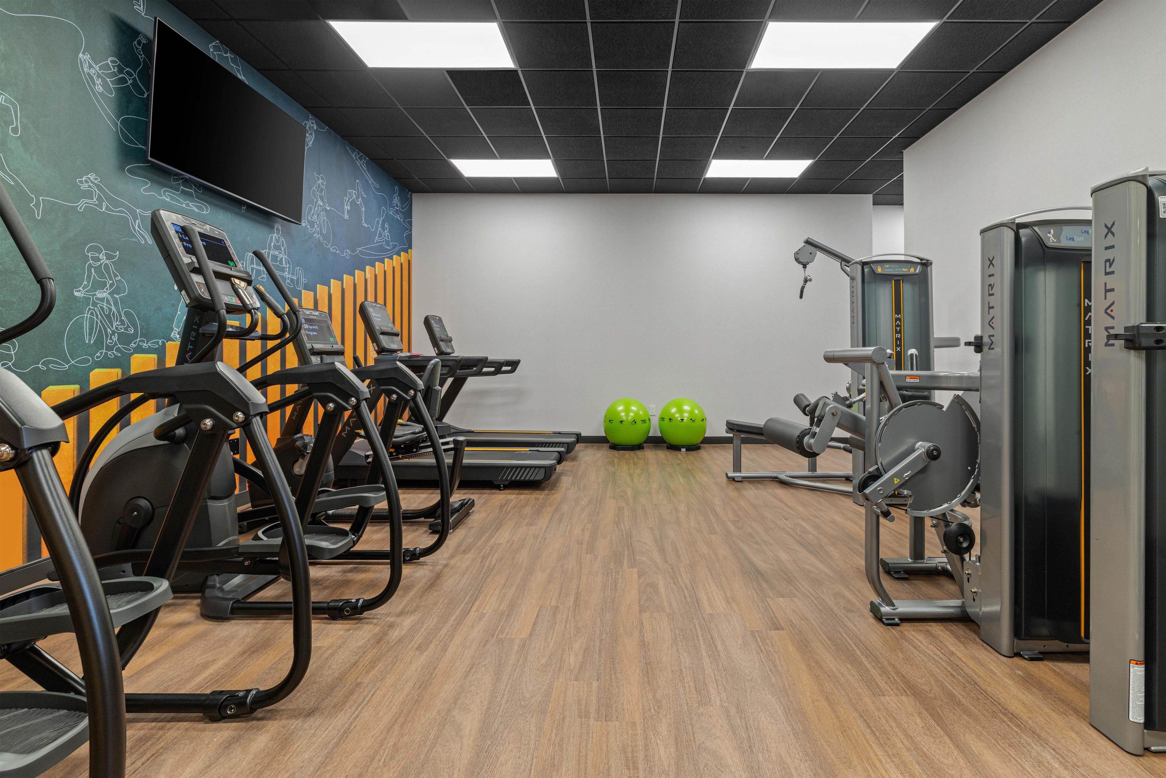 A gym with treadmills, exercise balls, and weight machines.