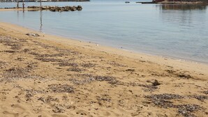 Ein Strand mit sandigem Ufer, ruhiger See und einem Gebäude mit rotem Dach und Palmen.