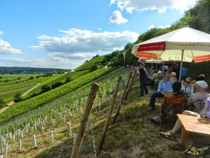 Nicht klassifiziertes Bild, 3 von 14, Schaltfläche