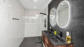 Shower, hair dryer