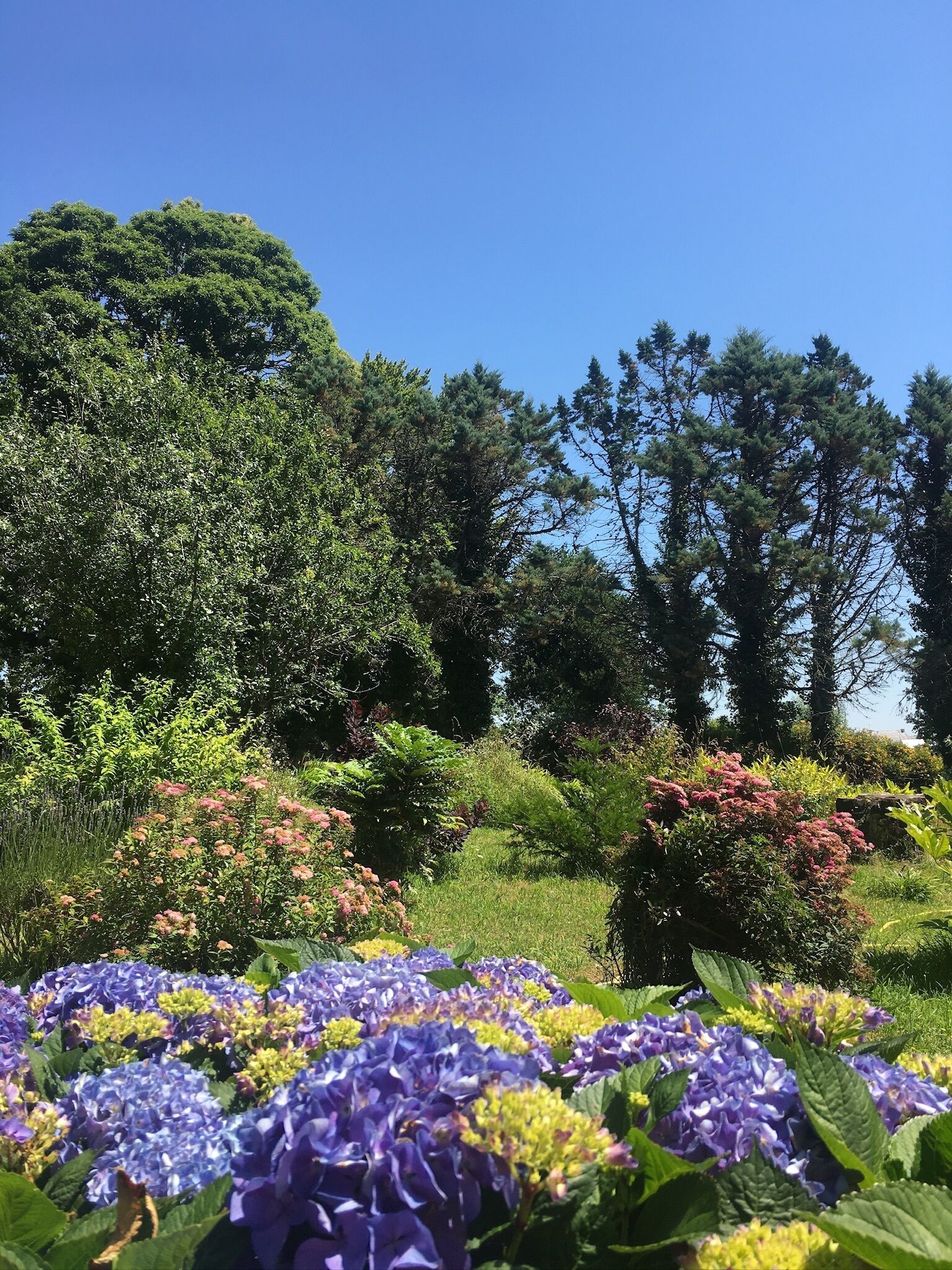 Overnatningsstedets område