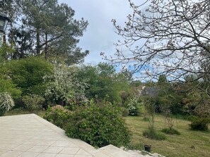 A garden with a paved area, various trees, and shrubs.
