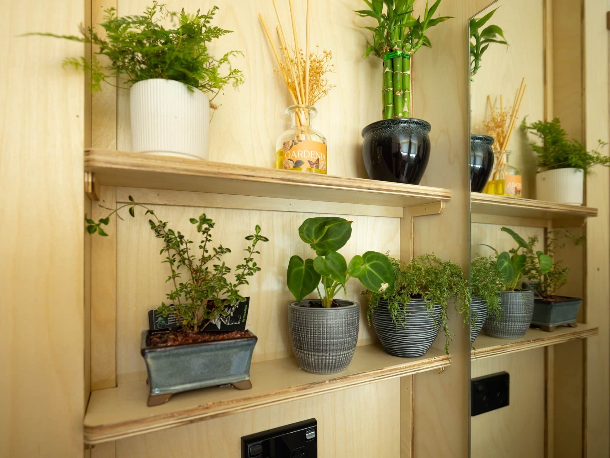 Una pared con varias repisas que sostienen macetas con distintas plantas y una pequeña botella con la etiqueta 'GARDENIA'.