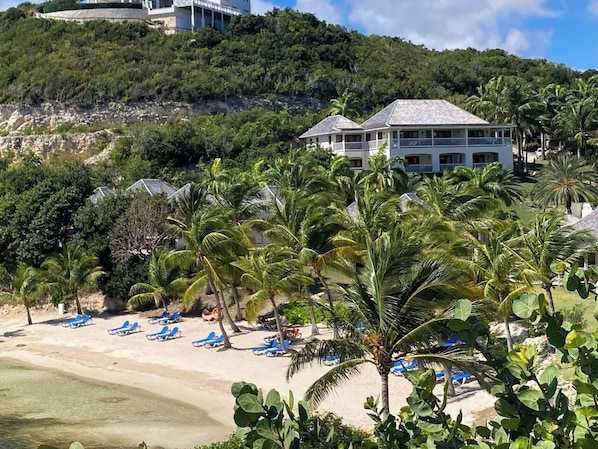 A beachfront property with a large building, palm trees, and a sandy beach with blue lounge chairs.