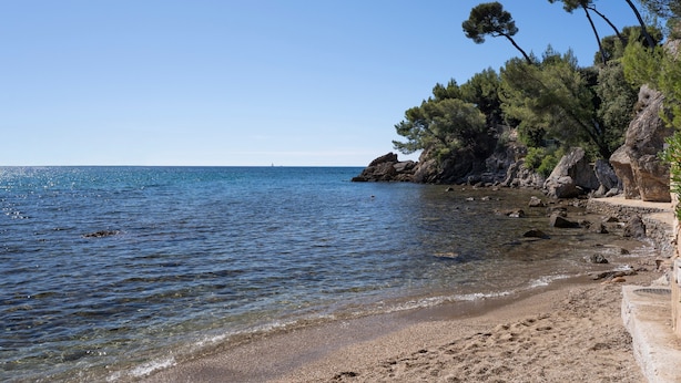 Una playa con agua cristalina, costa rocosa y árboles.