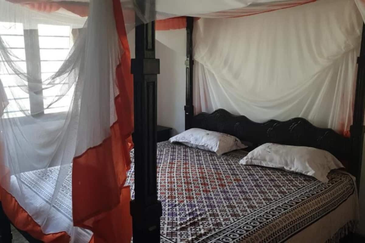 Una cama con una colcha estampada y dos almohadas, una ventana con vistas, y una mosquitera de tela roja y blanca.