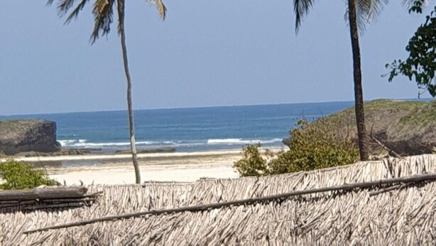 Una playa con palmeras y una estructura de techo de paja.