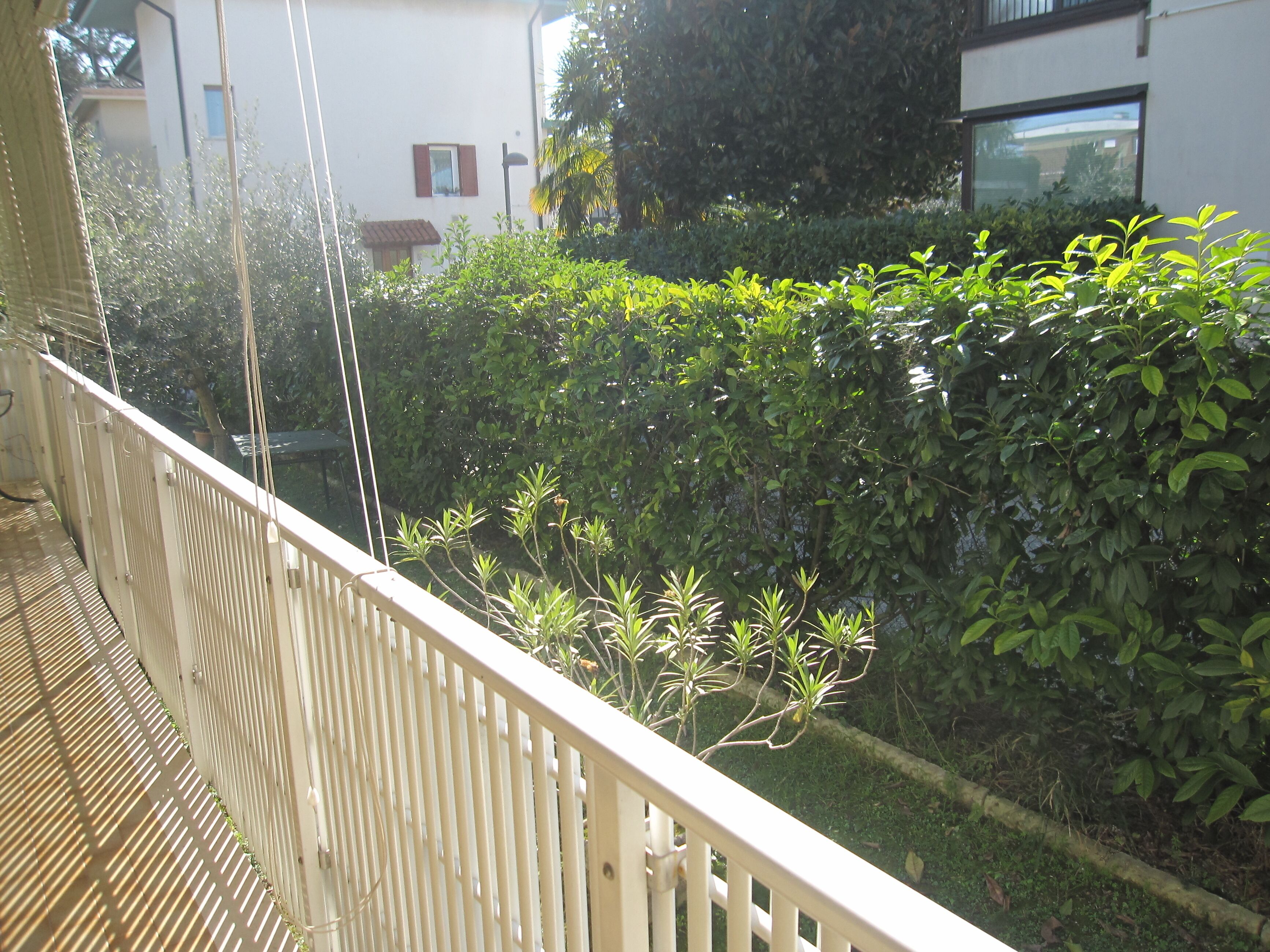 A balcony with a white railing overlooking a garden with various plants and a white building in the background.