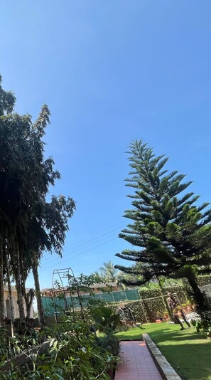 Property grounds - Aburi Emerald Garden Retreat (Aburi)