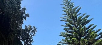 Aburi Emerald Garden Retreat