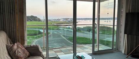 Smart TV, books, stereo