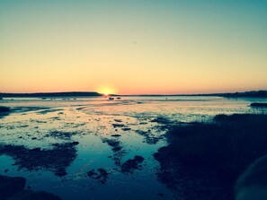 Botón de imagen sin clasificar, 3 de 30