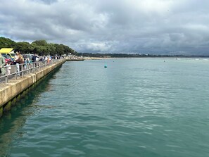 Botón de imagen sin clasificar, 2 de 30