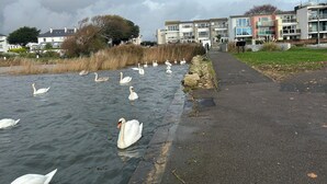 A pathway alongside a body of water with swans. - Mudeford, Dorset. Spectacular Seafront Views. Perfect Family Getaway. Driveway. (Christchurch)