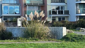 A modern residential building with multiple balconies and large windows. - Mudeford, Dorset. Spectacular Seafront Views. Perfect Family Getaway. Driveway. (Christchurch)