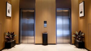 星評価なしの画像、4 / 41、ボタン