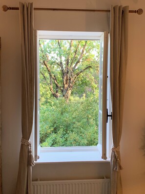 Botó d’imatge sense classificar, 2 de 12