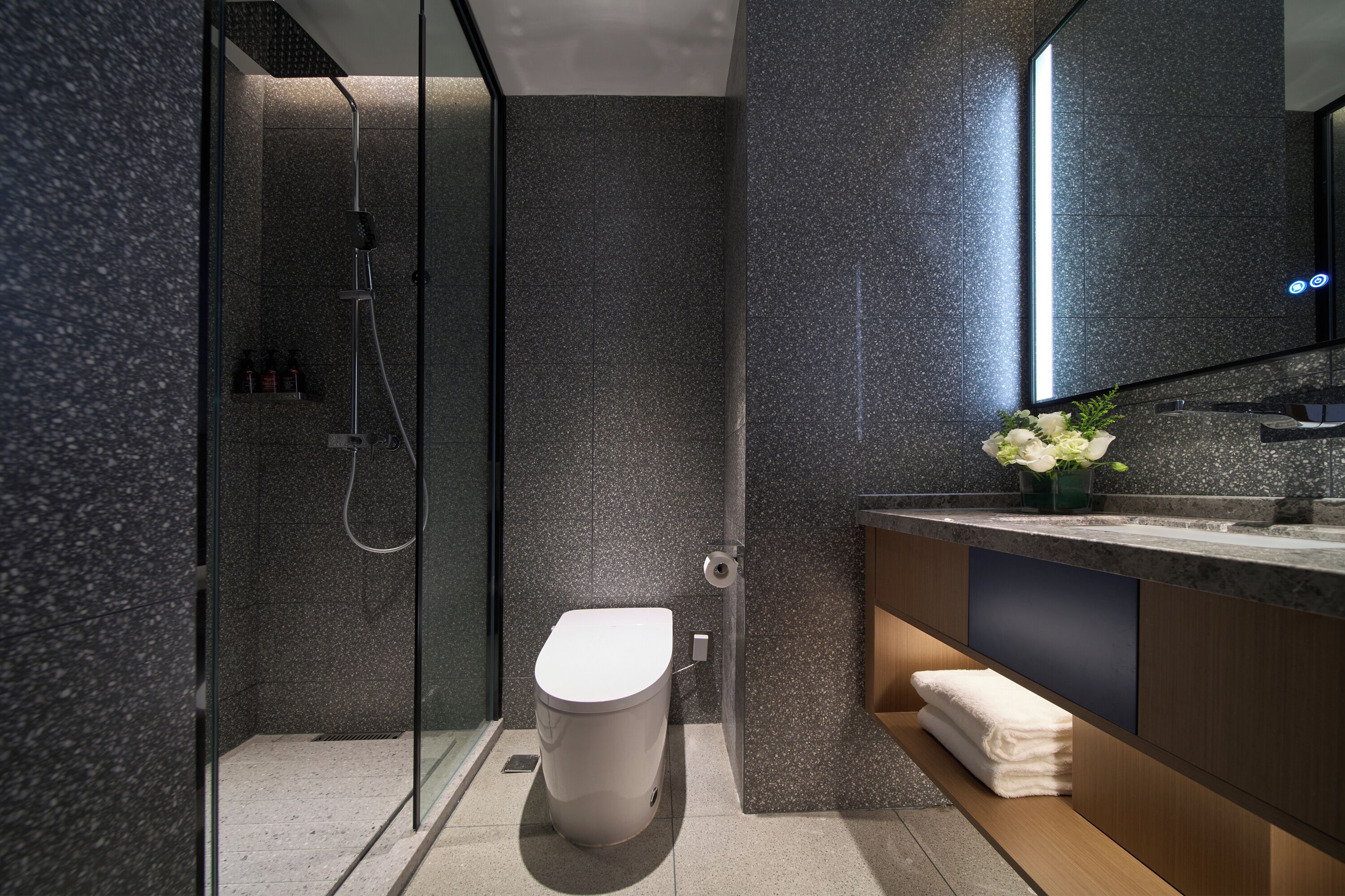 Een moderne badkamer met een douchecabine, toilet en een wastafel met spiegel.