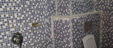 A bathroom with checkered blue and white tiles, a shower area, and a toilet.