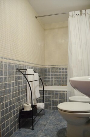 Ducha, secador de pelo y toallas