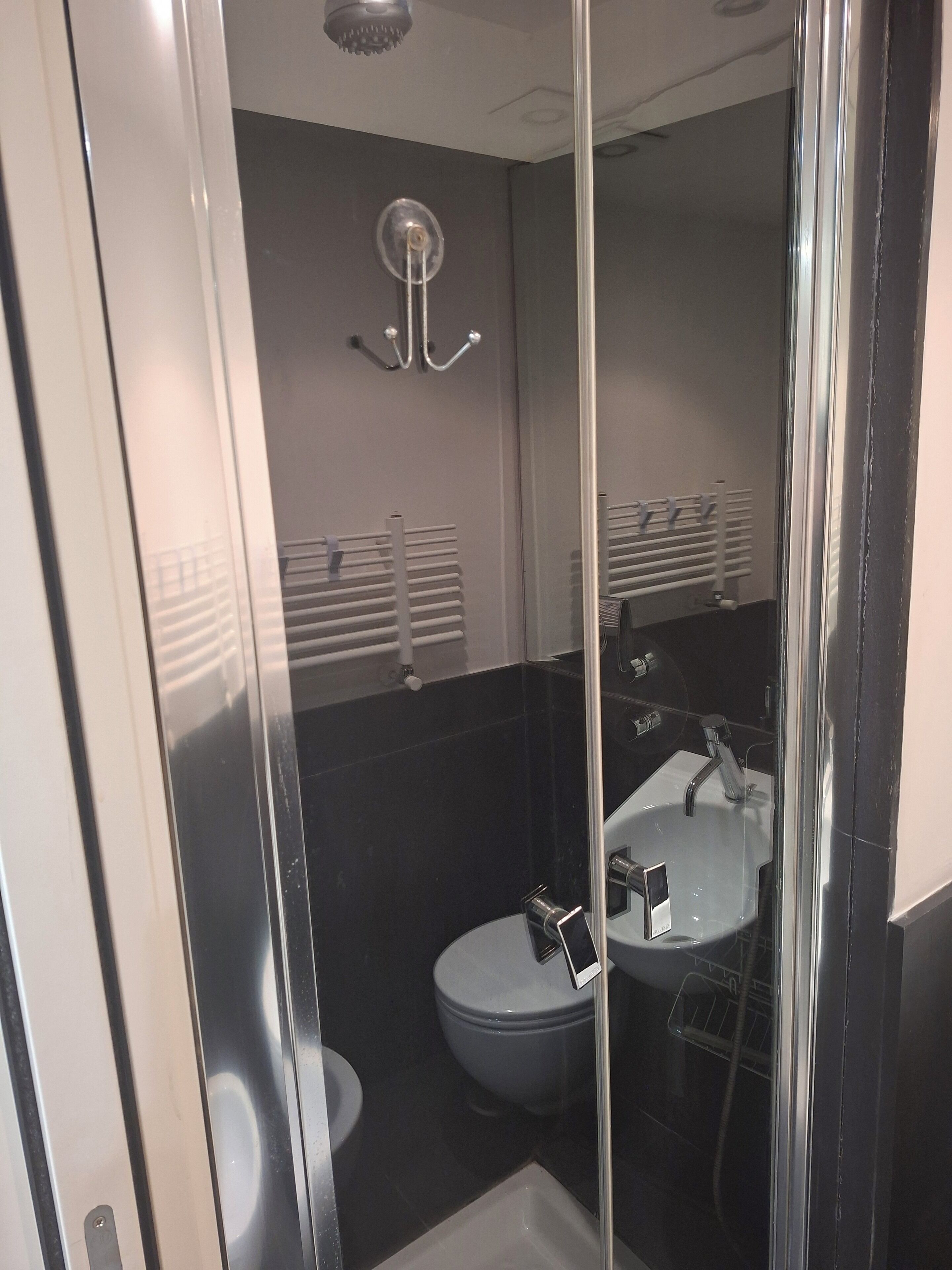 Regadera, secadora de cabello, bidet, toallas 