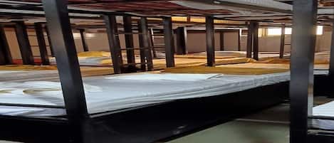 Basic Shared Dormitory