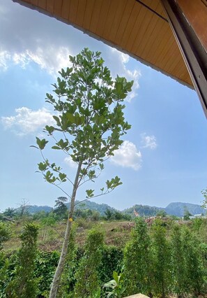 Ảnh chưa phân loại, 2 trong số 15 ảnh, nút