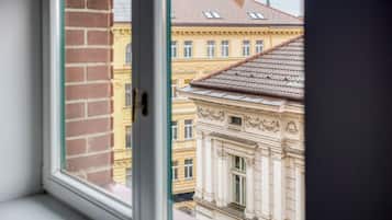 Studio – standard, byutsikt | Innvendig