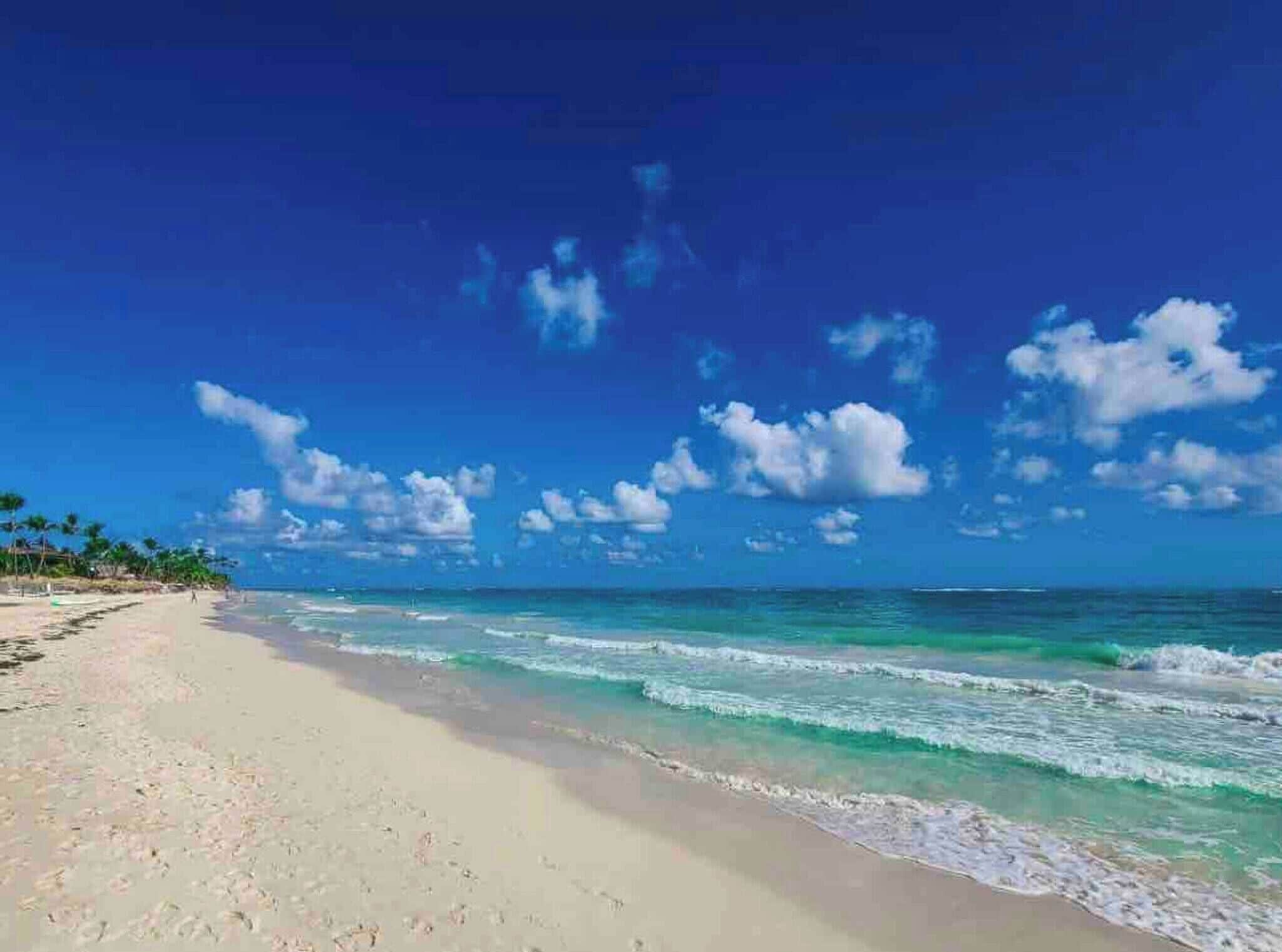 Appartement, 2 chambres, balcon, vue sur la piscine | Plage