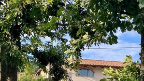 Property grounds - In the heart of Alta Langa, a charming villa with private pool (Piemonte)