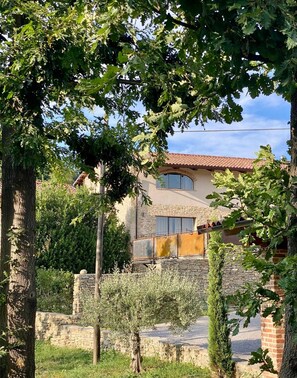 Property grounds - In the heart of Alta Langa, a charming villa with private pool (Piemonte)
