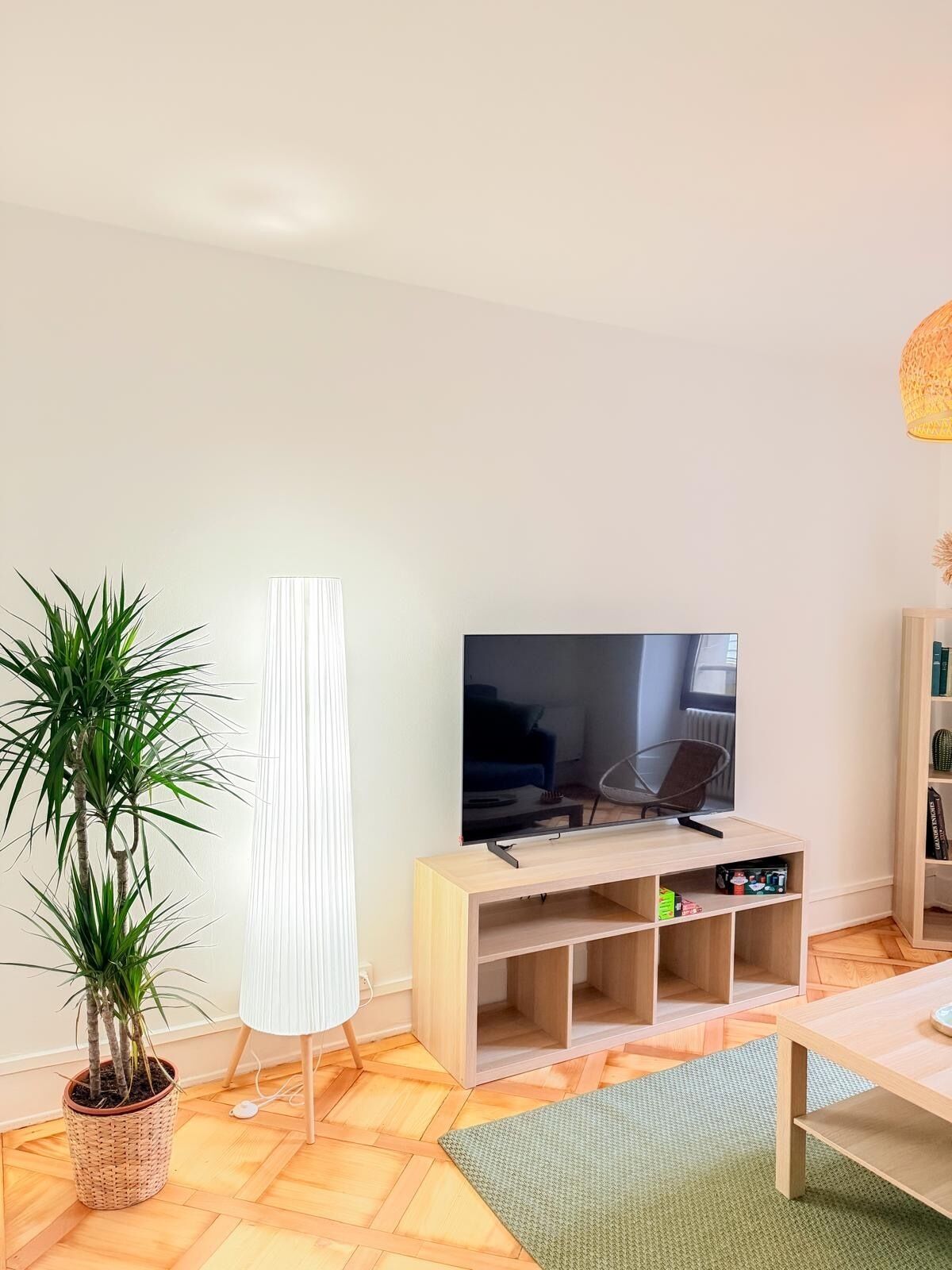 Un salon avec un téléviseur posé sur un meuble en bois, une plante en pot, une lampe et une bibliothèque.