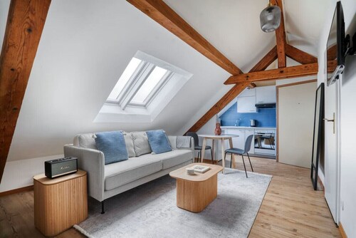 Eagle Suite · Grosses Dachstudio in Wipkingen