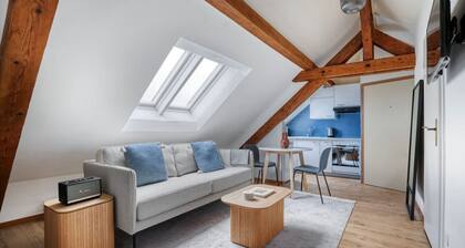 Eagle Suite · Grosses Dachstudio in Wipkingen