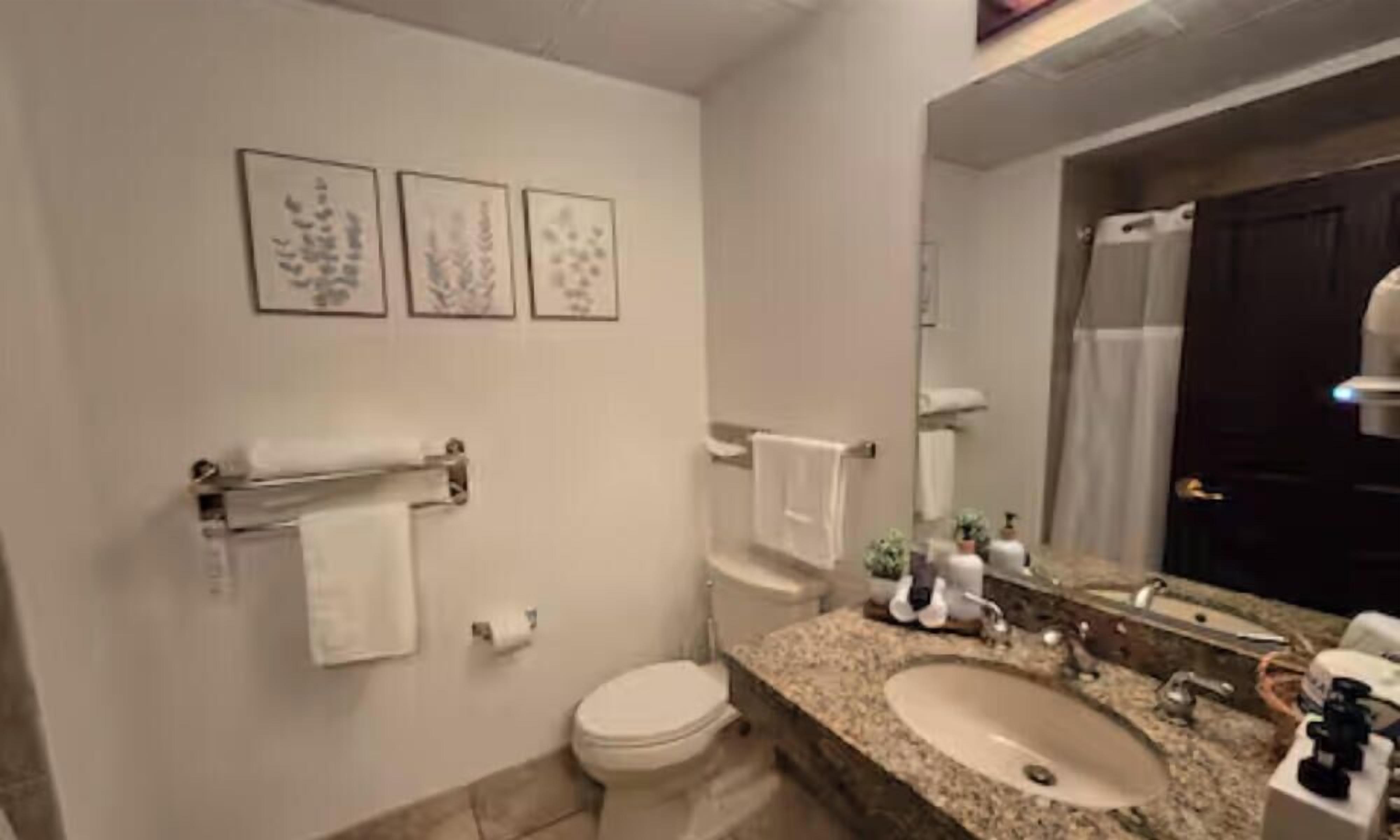 A bathroom with a toilet, sink, and mirror. There are three framed pictures on the wall.