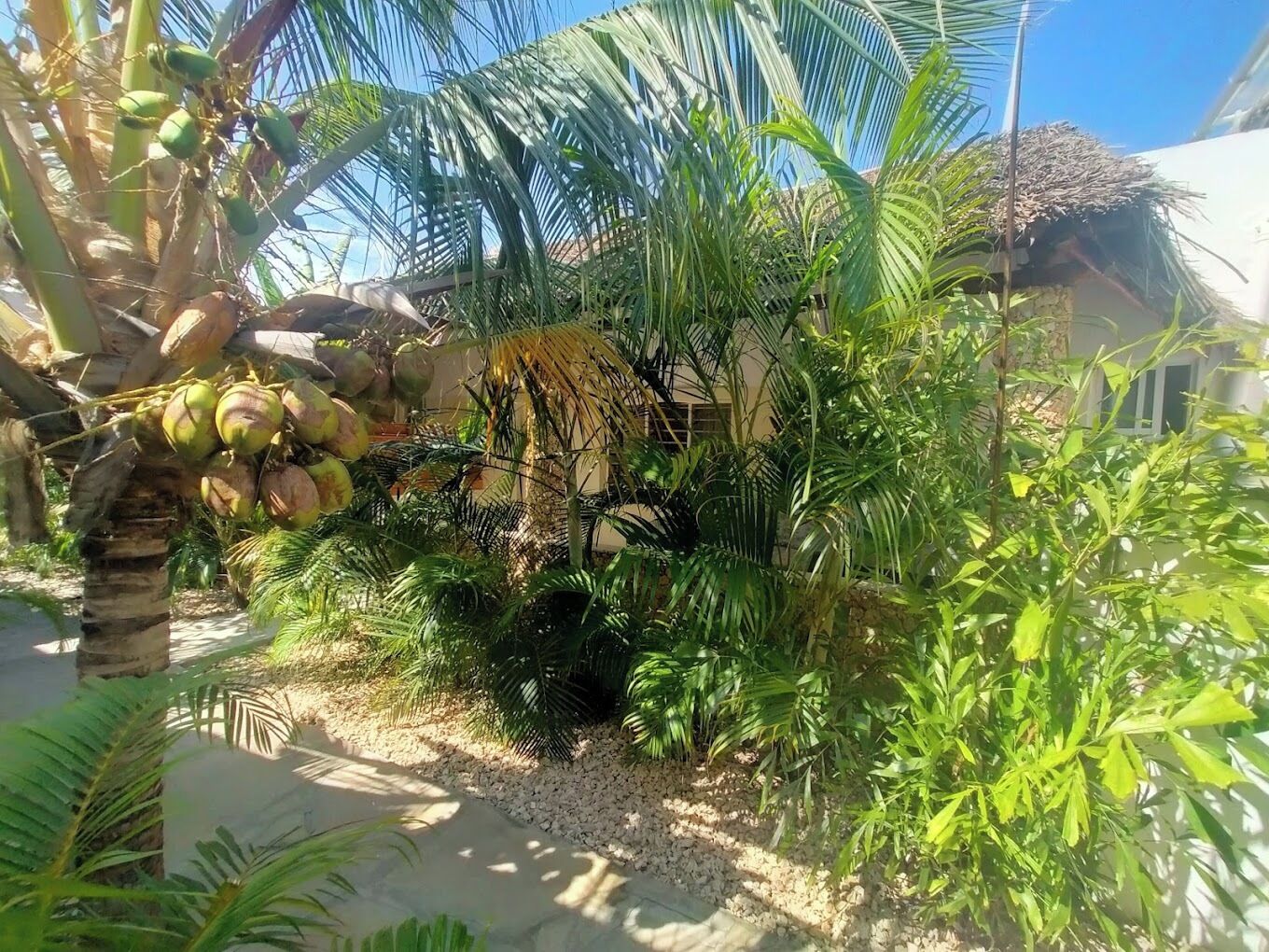 Giardino